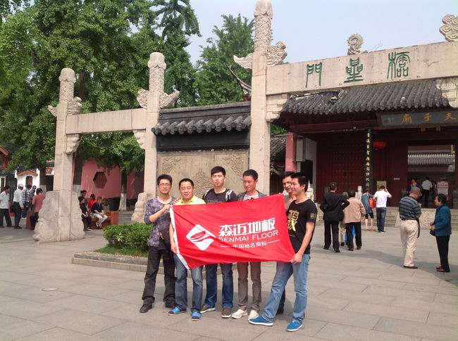 绿巨人短视频APP导入地板团队畅游南京夫子庙秦淮河风景区